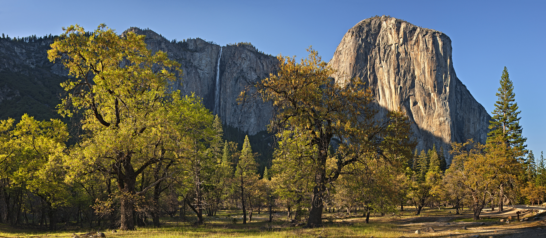 At the Captains Table