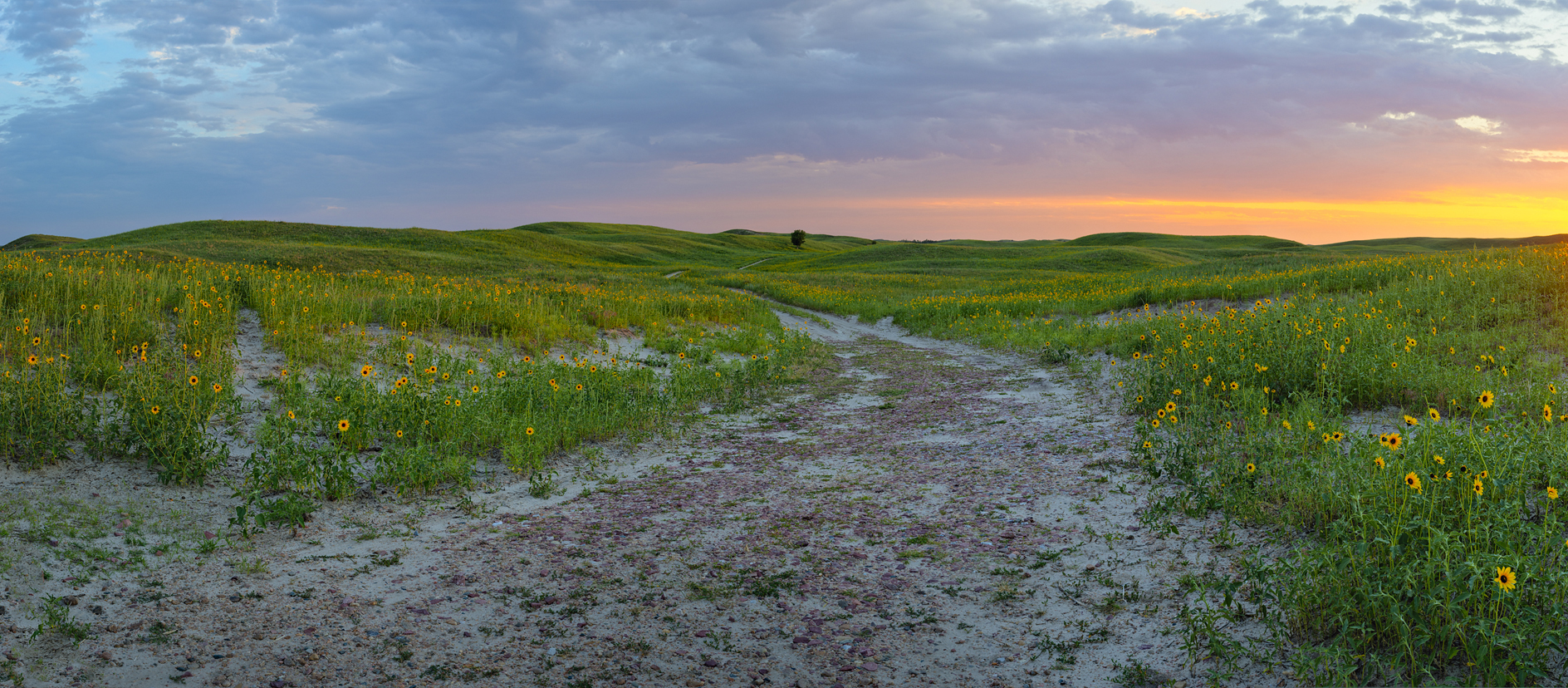At the end of the Gravel