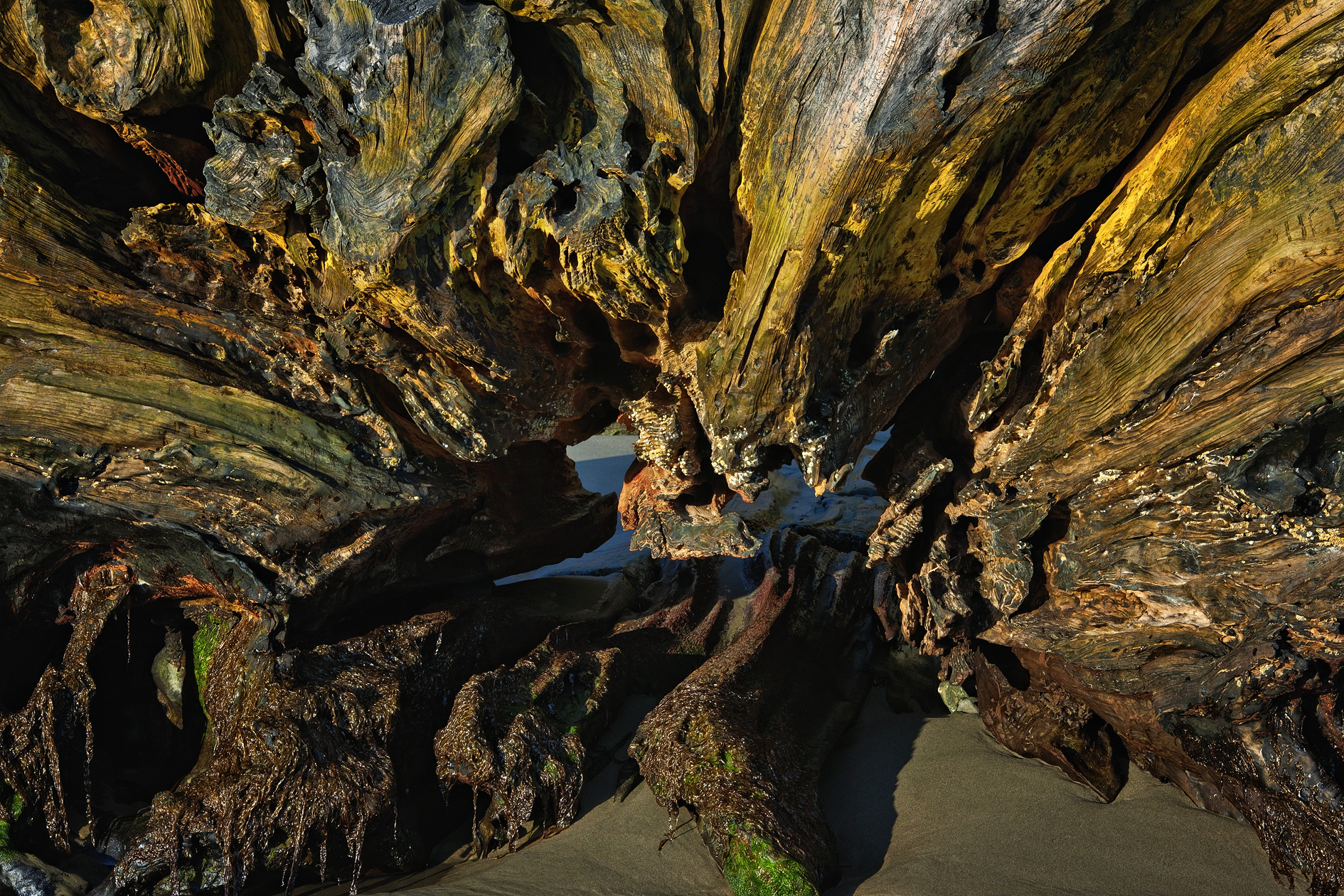 At the Mercy of the Tides