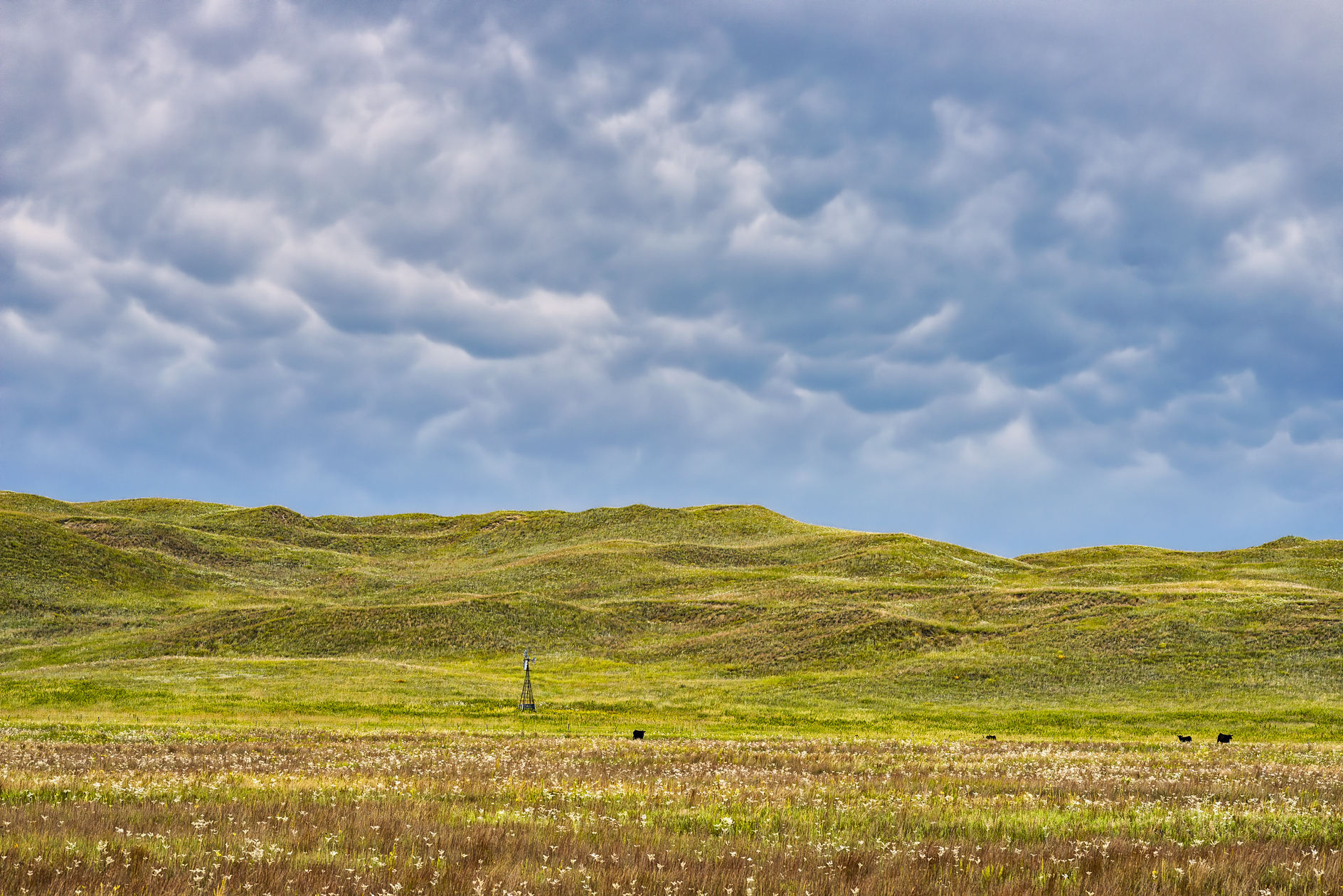 August in the Sandhills