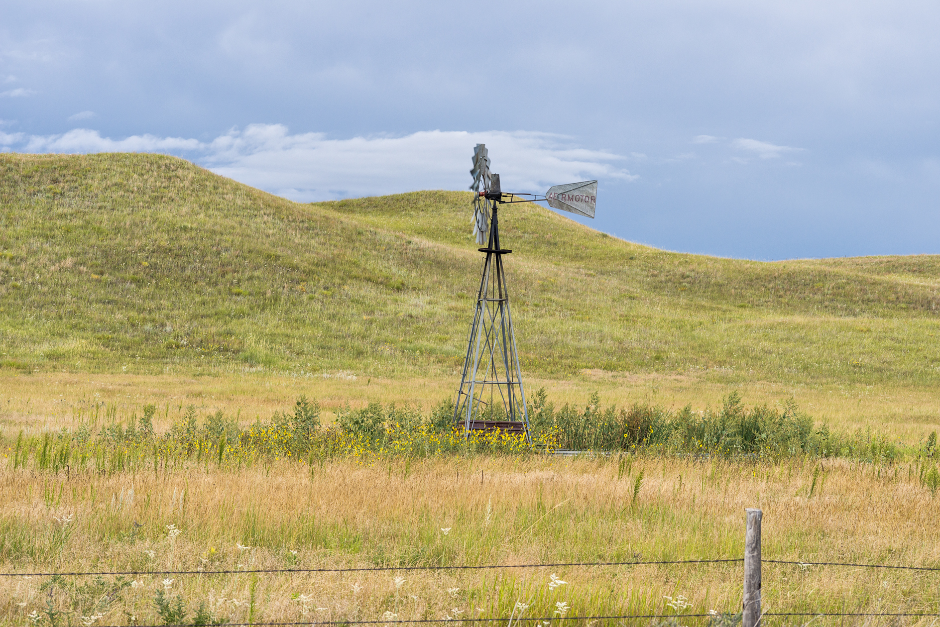 August in the Sandhills II