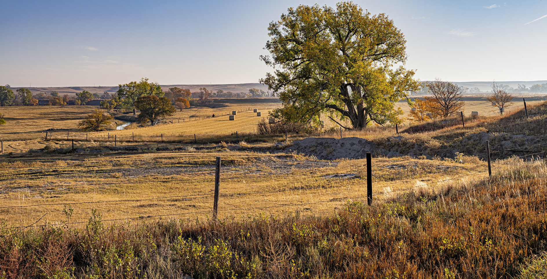 Autumn Along the Frenchman