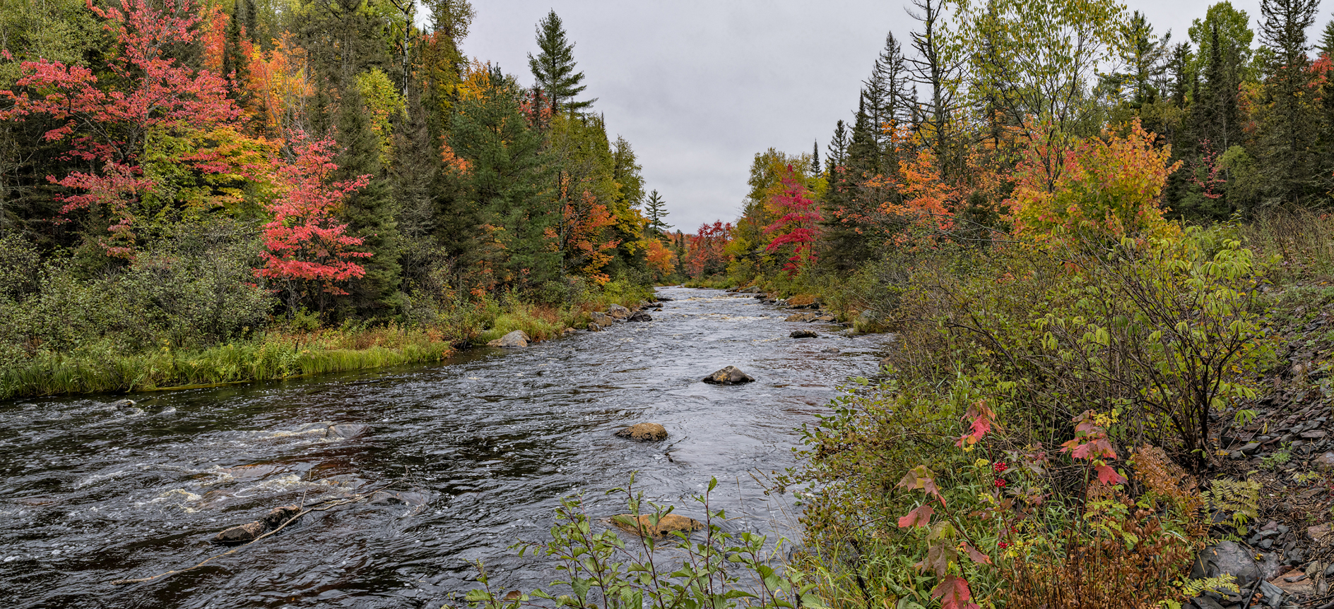 Autumn Along the River