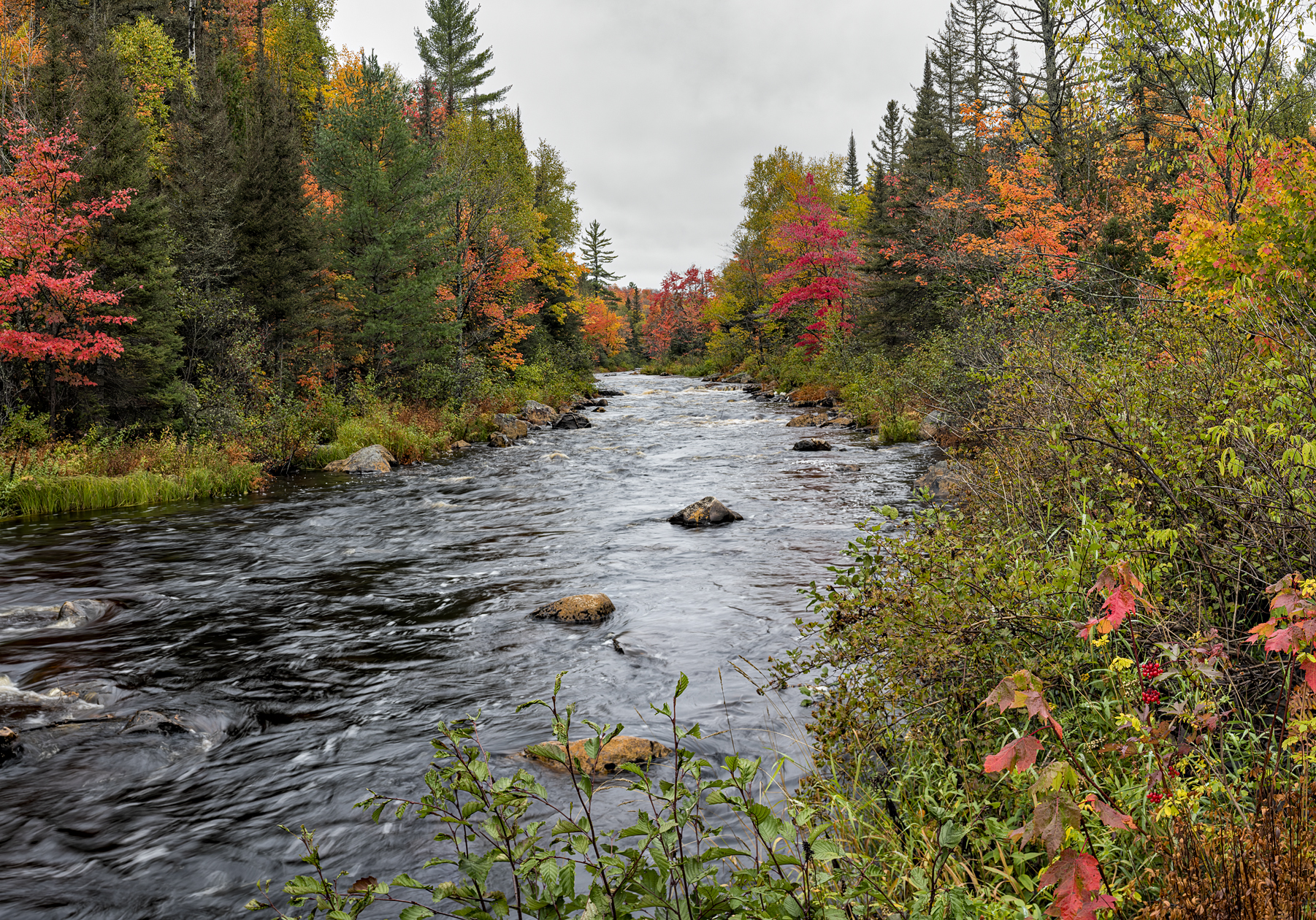 Autumn Along the River II