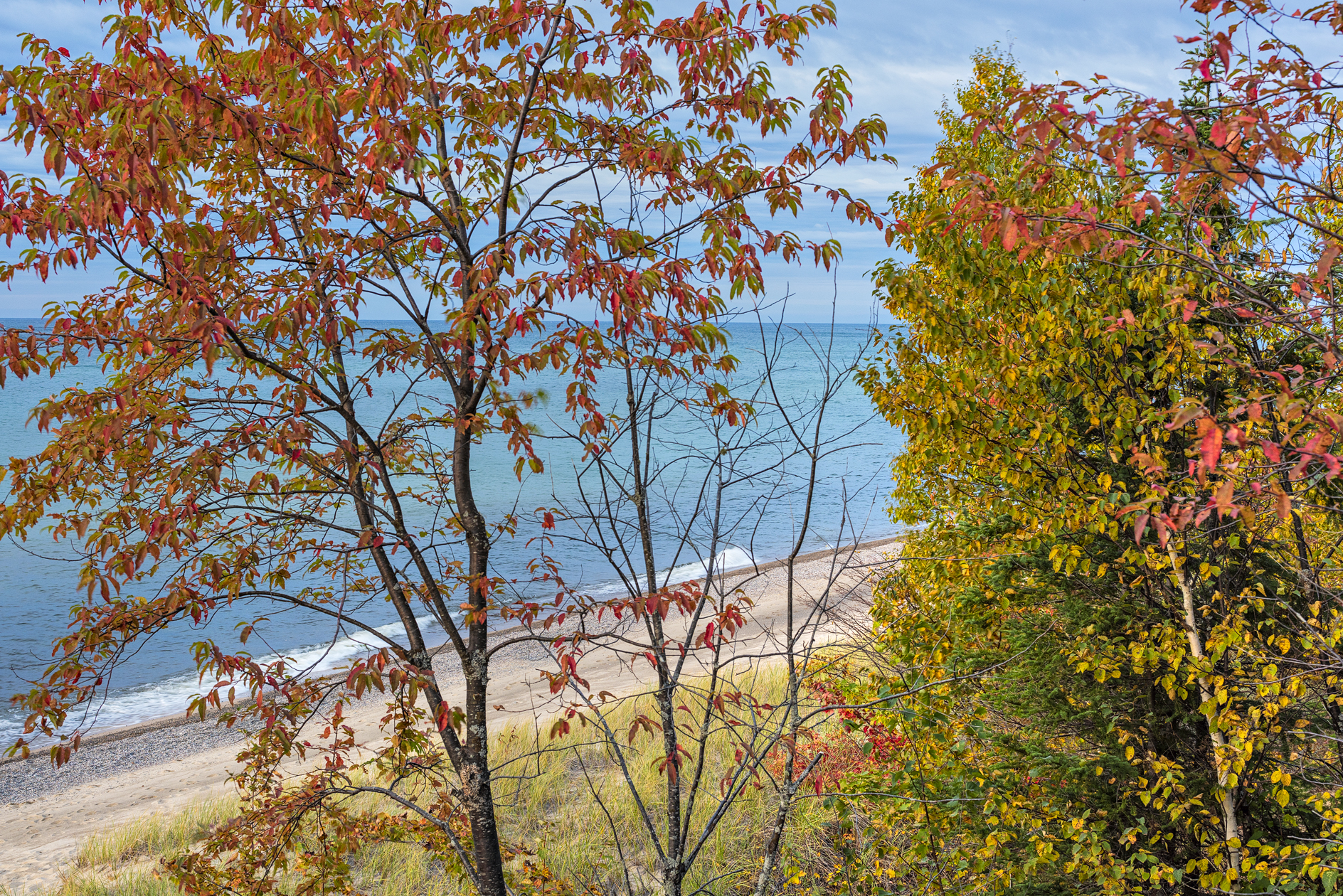 Autumn at the Beach III