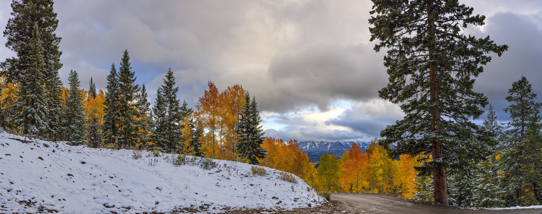 Autumn at the Pass II