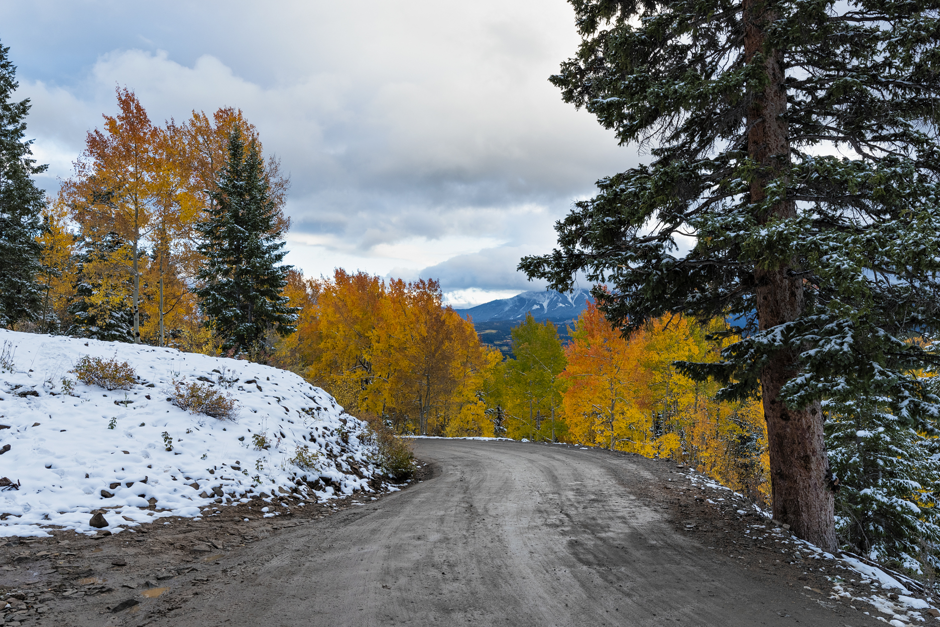 Autumn at the Pass III