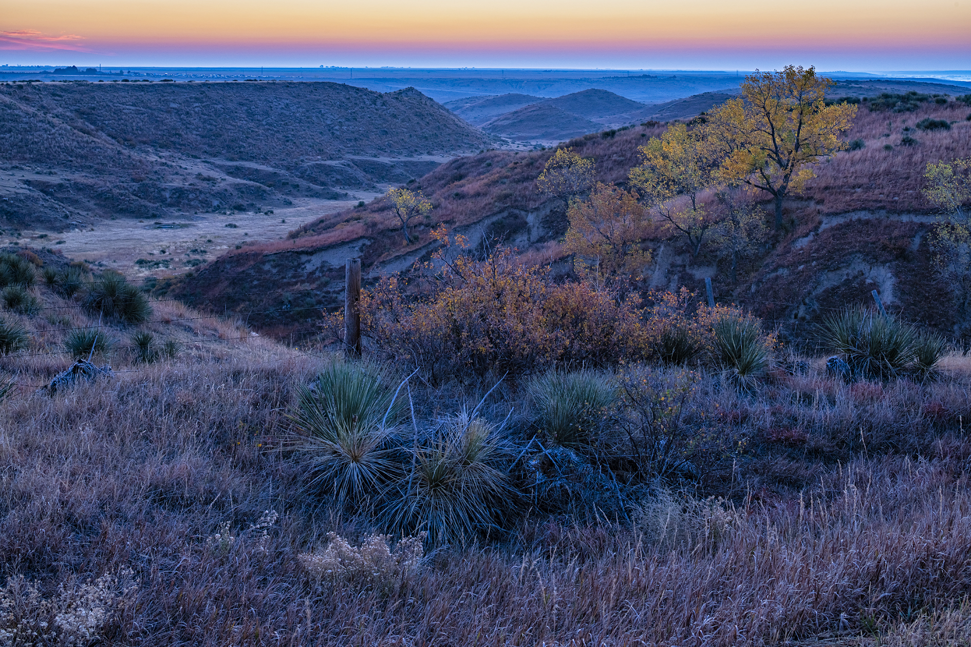 Autumn in the Canyon