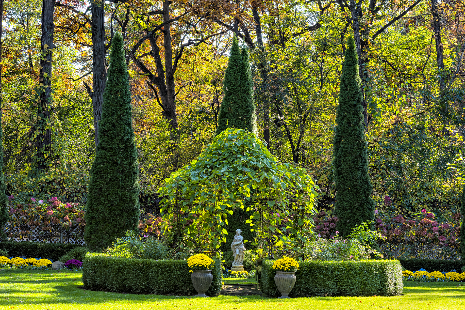 Autumn in the Garden