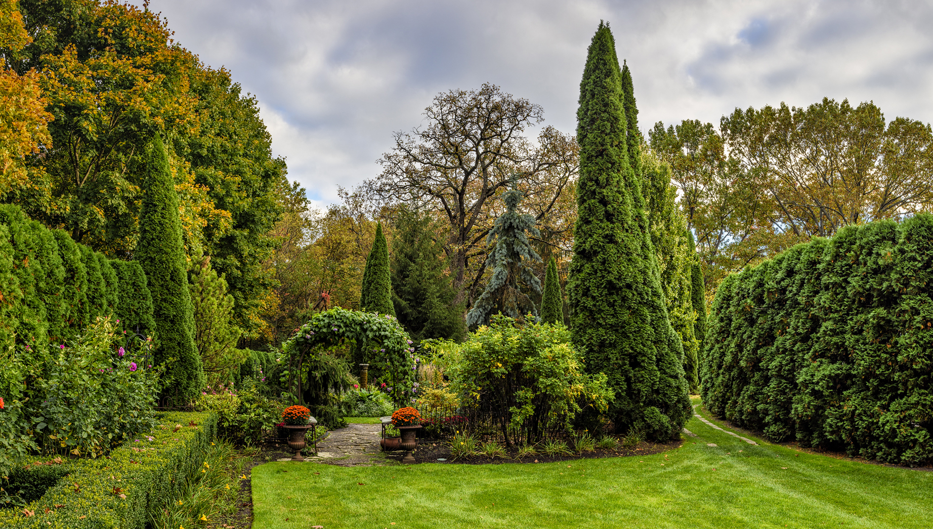 Autumn in the Garden II