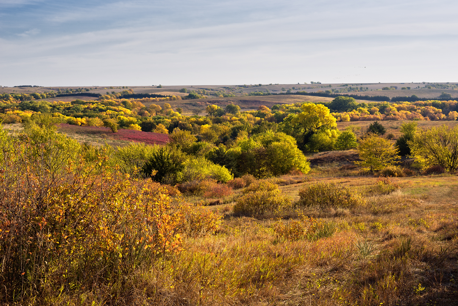 Autumn in the Heartland