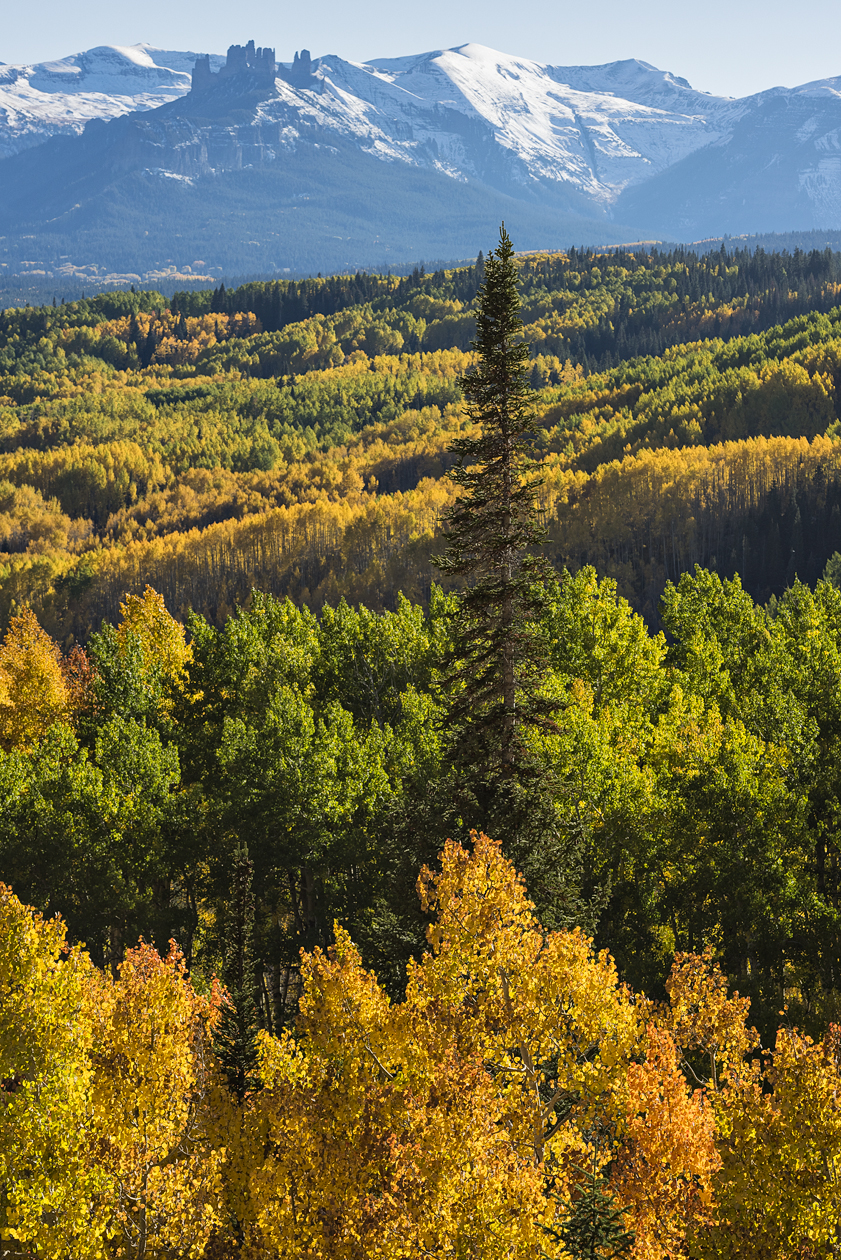 Autumn in the Wilderness