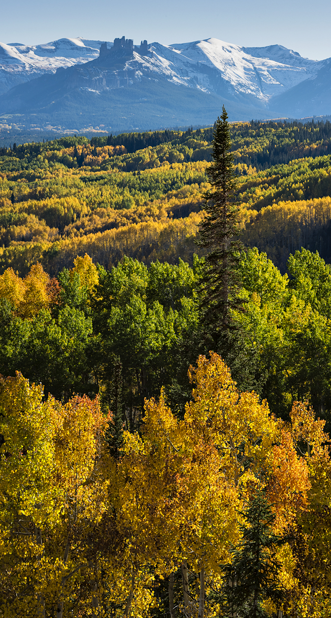 Autumn in the Wilderness II