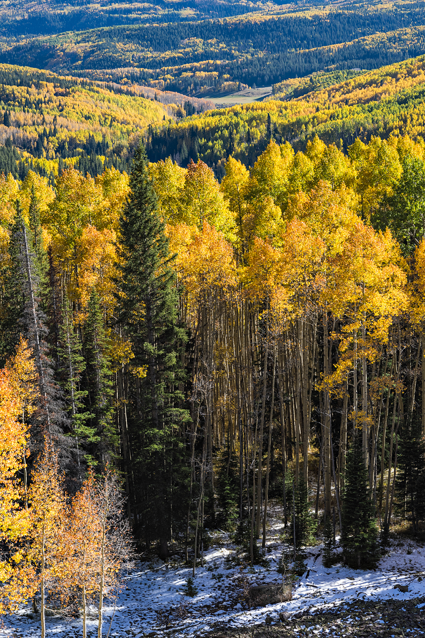 Autumn in the Wilderness III