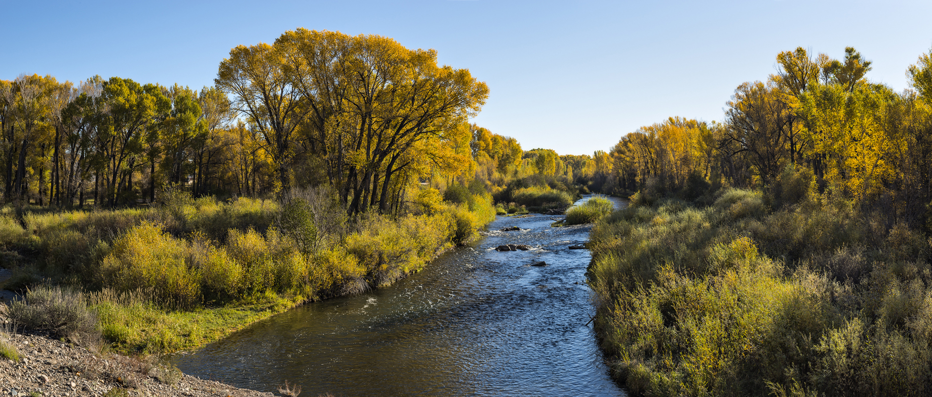 Autumn on the Arkansas II