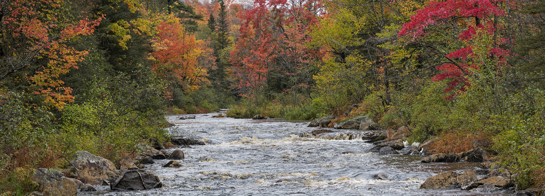 Autumn on the Peshekee