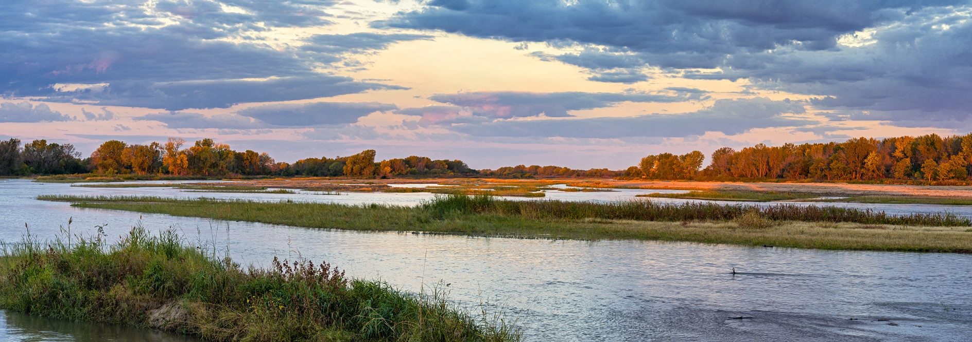 Autumn on the Platte II
