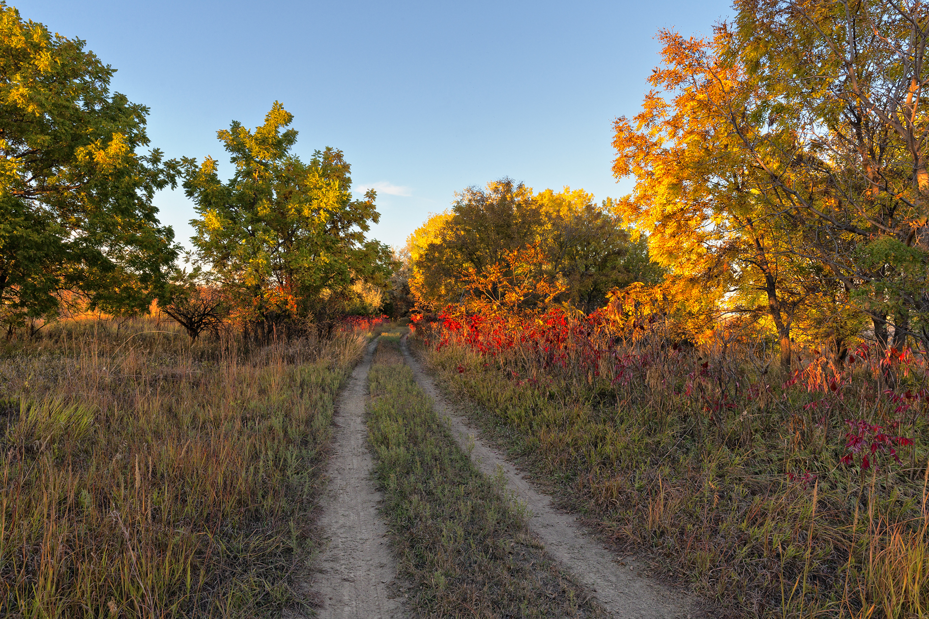 Autumn Trail