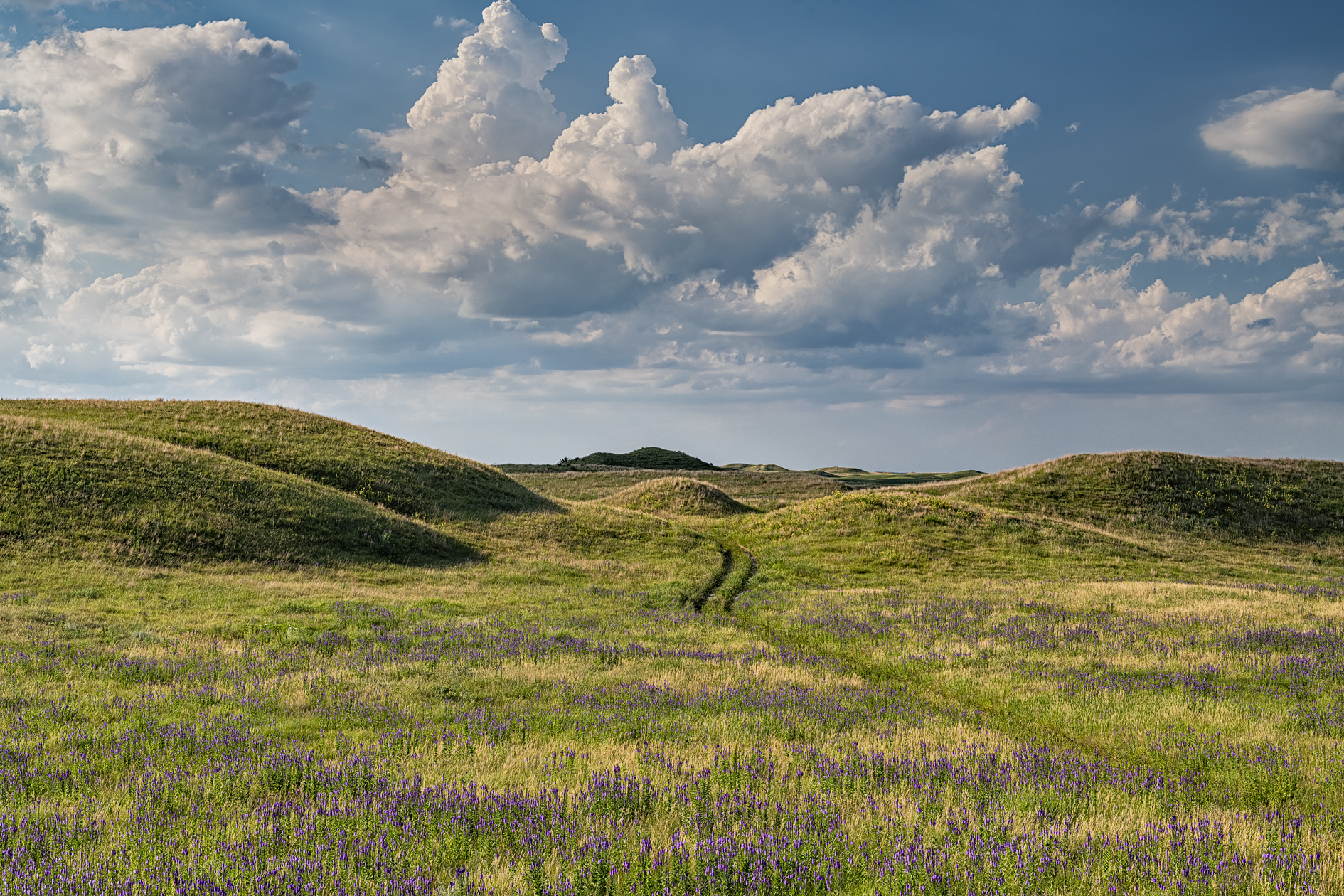 B-B Ranch Afternoon II