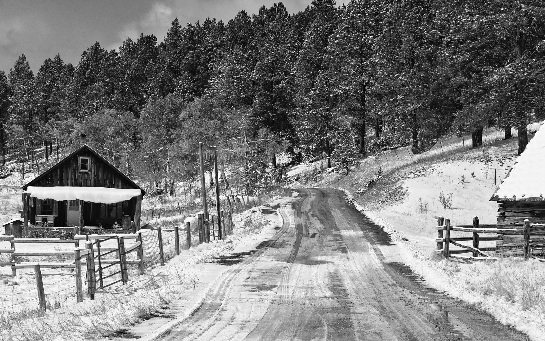 Back Country Hangout