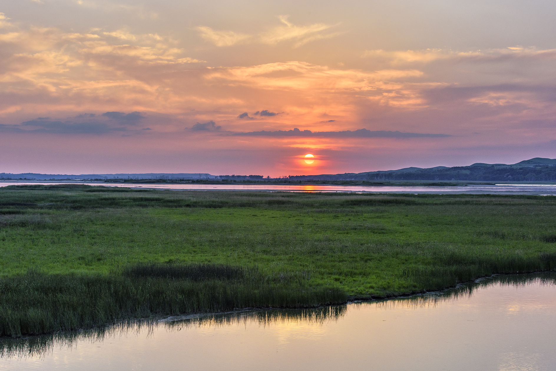 Backwater Reflections