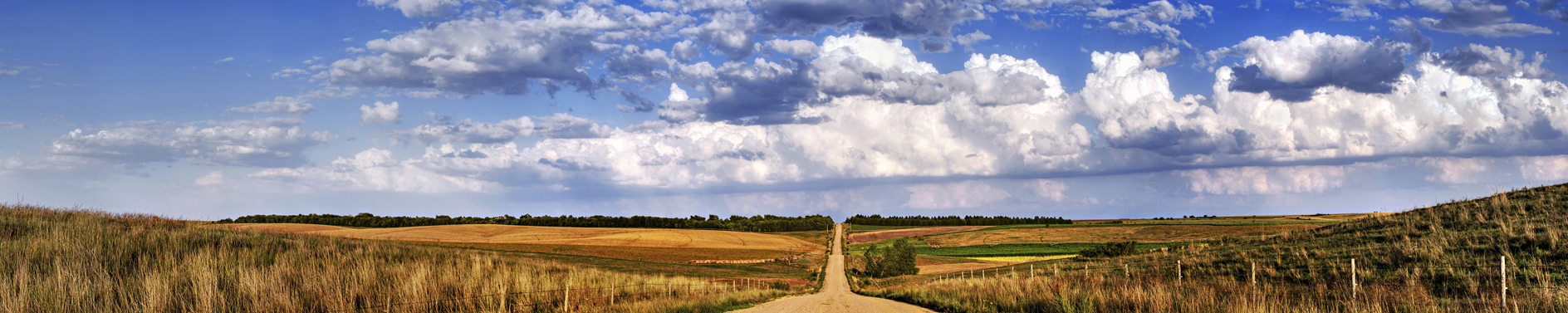 Balanced Perspective