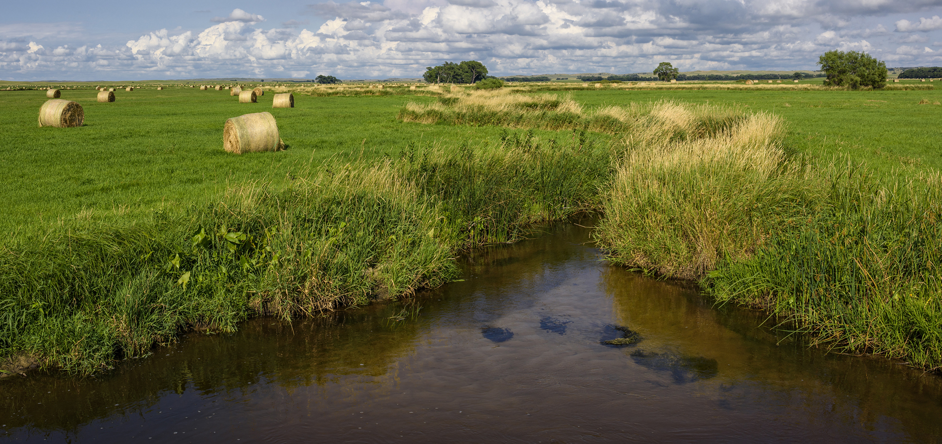 Bales Along the Loup