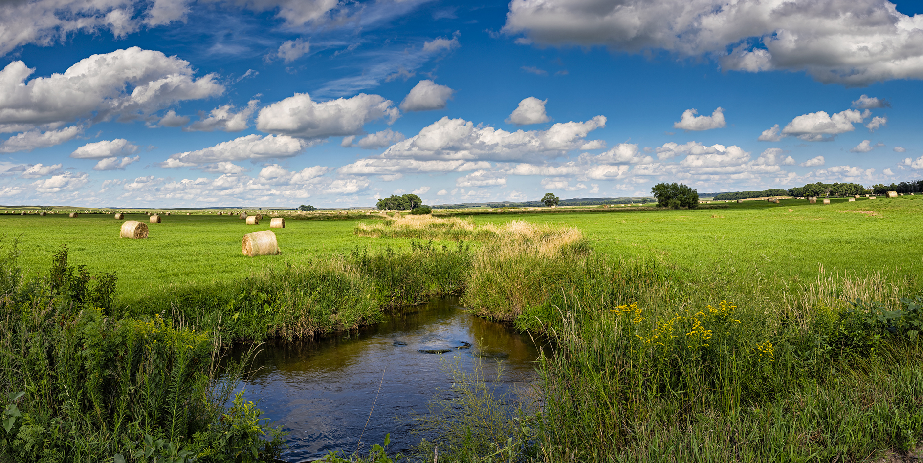 Bales Along the Loup II