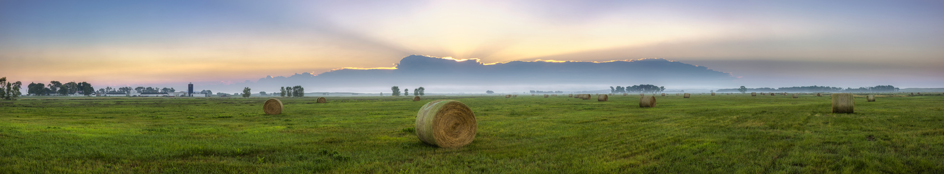 Bales in the Mist