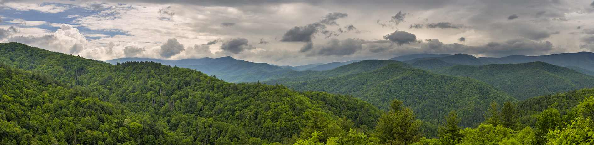 Balsam Mountain Afternoon