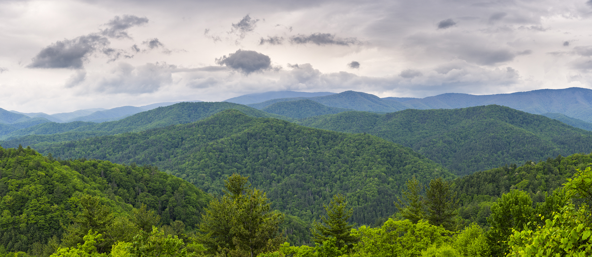 Balsam Mountain Afternoon II