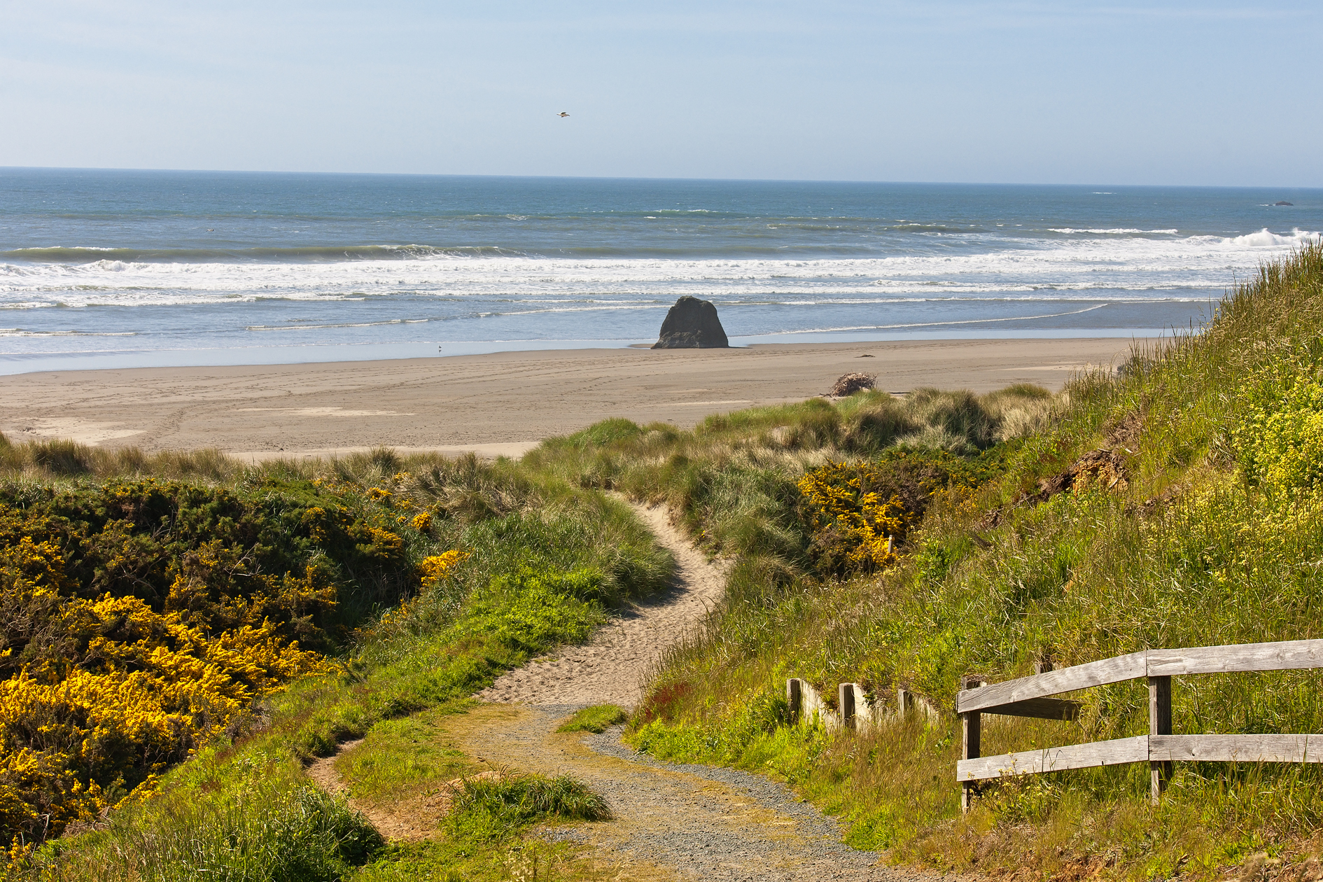 Bandon Beach Morning