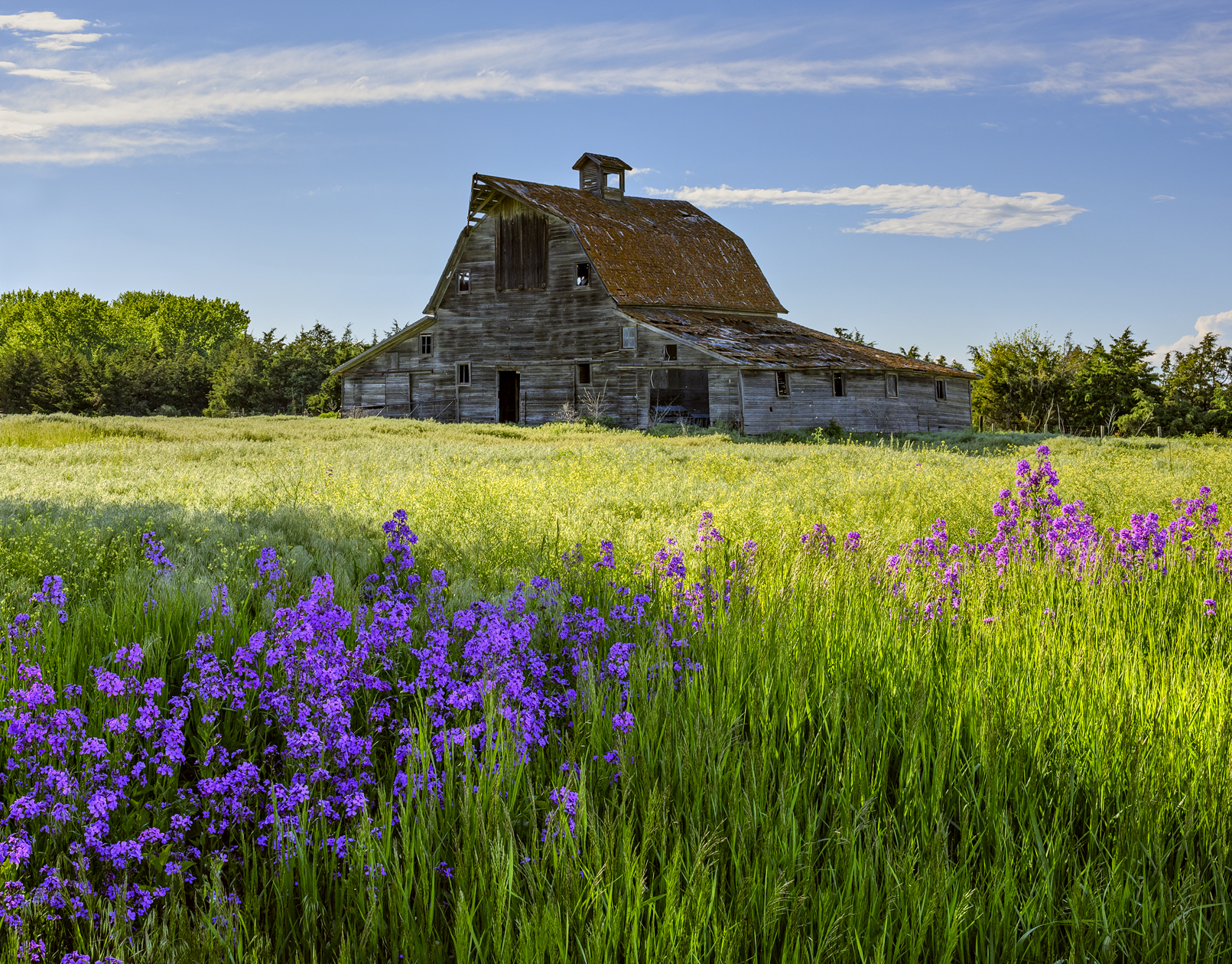Barn Idyll