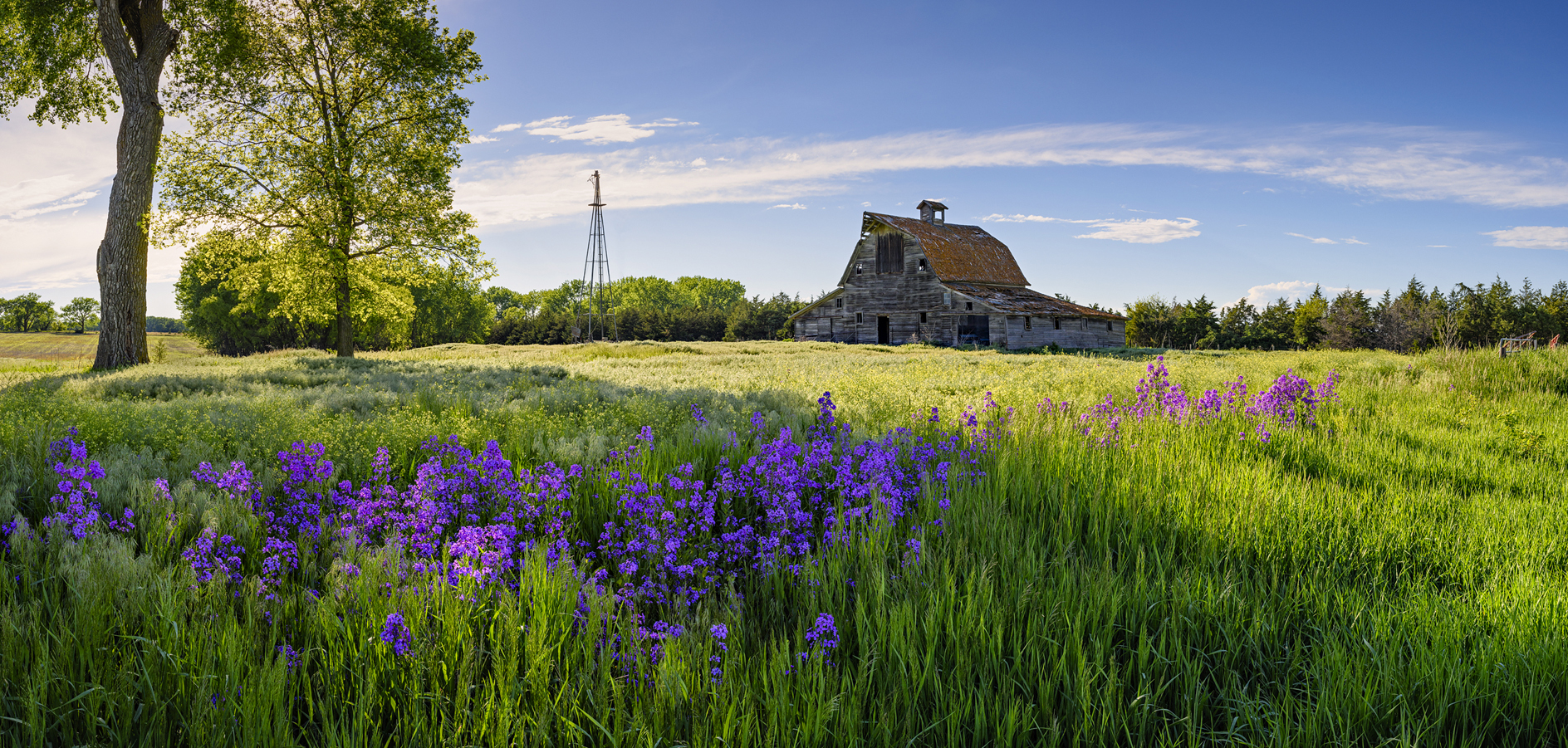 Barn Idyll III