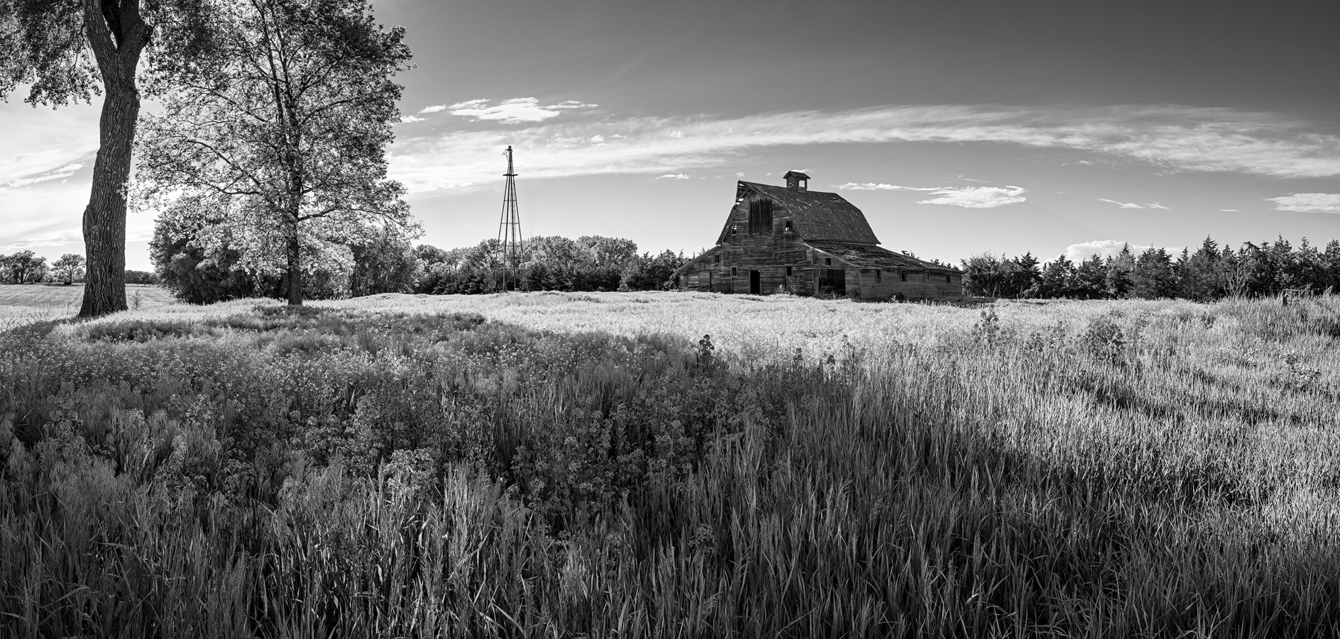 Barn Idyll IV