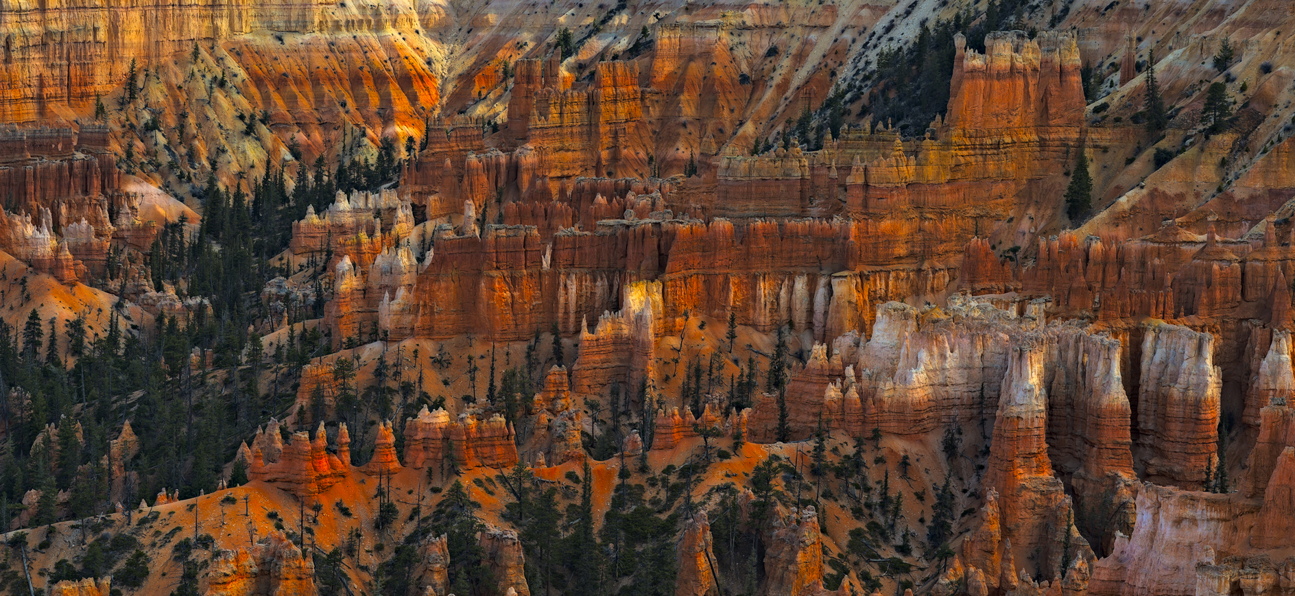 Barons of Wall Street