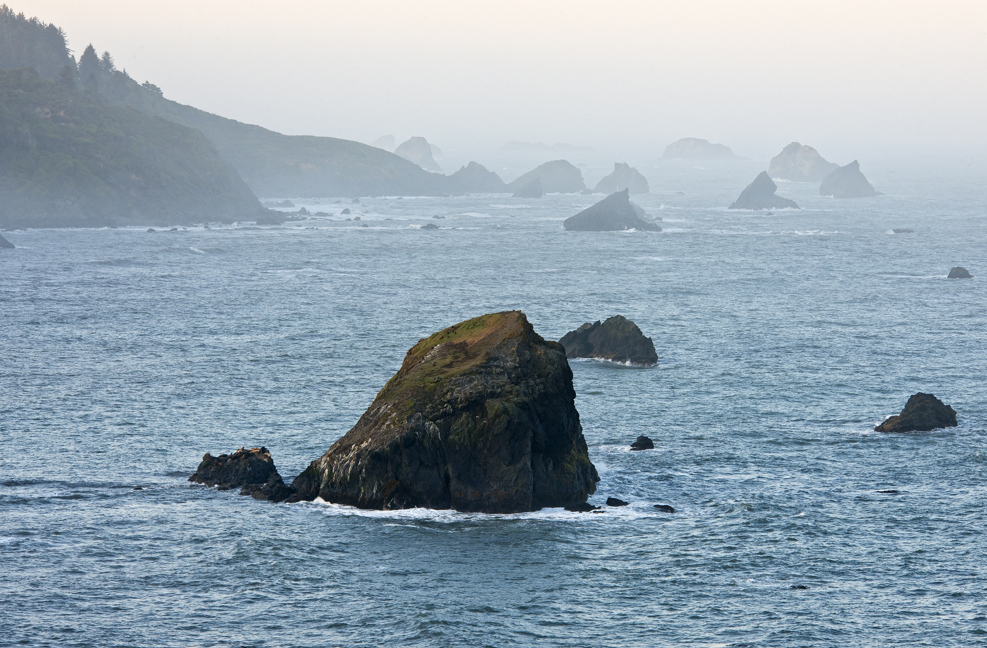 Barricades in the Mist