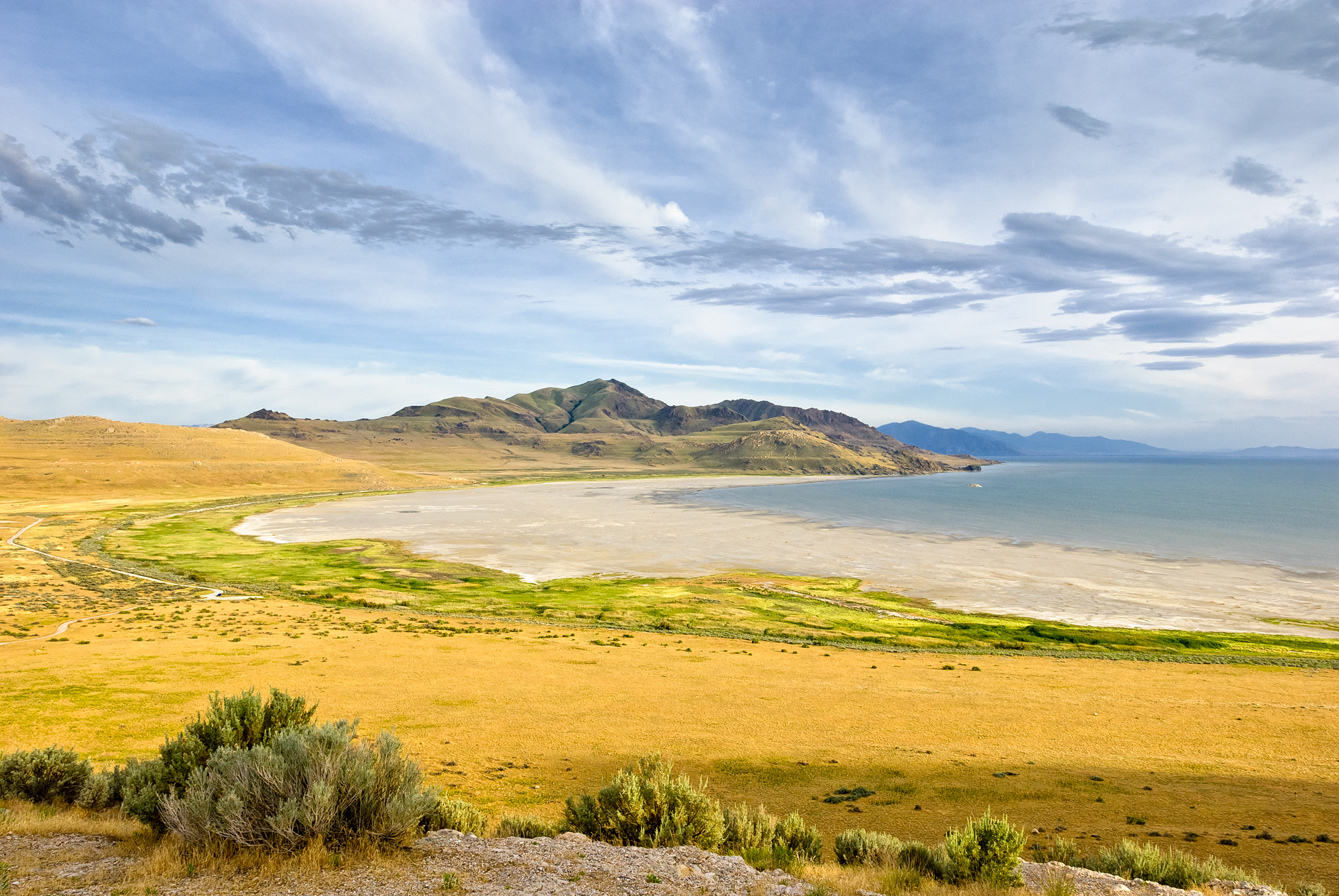 Bay Watch sans Pamela