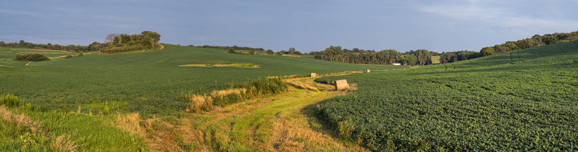 Beans and Bales