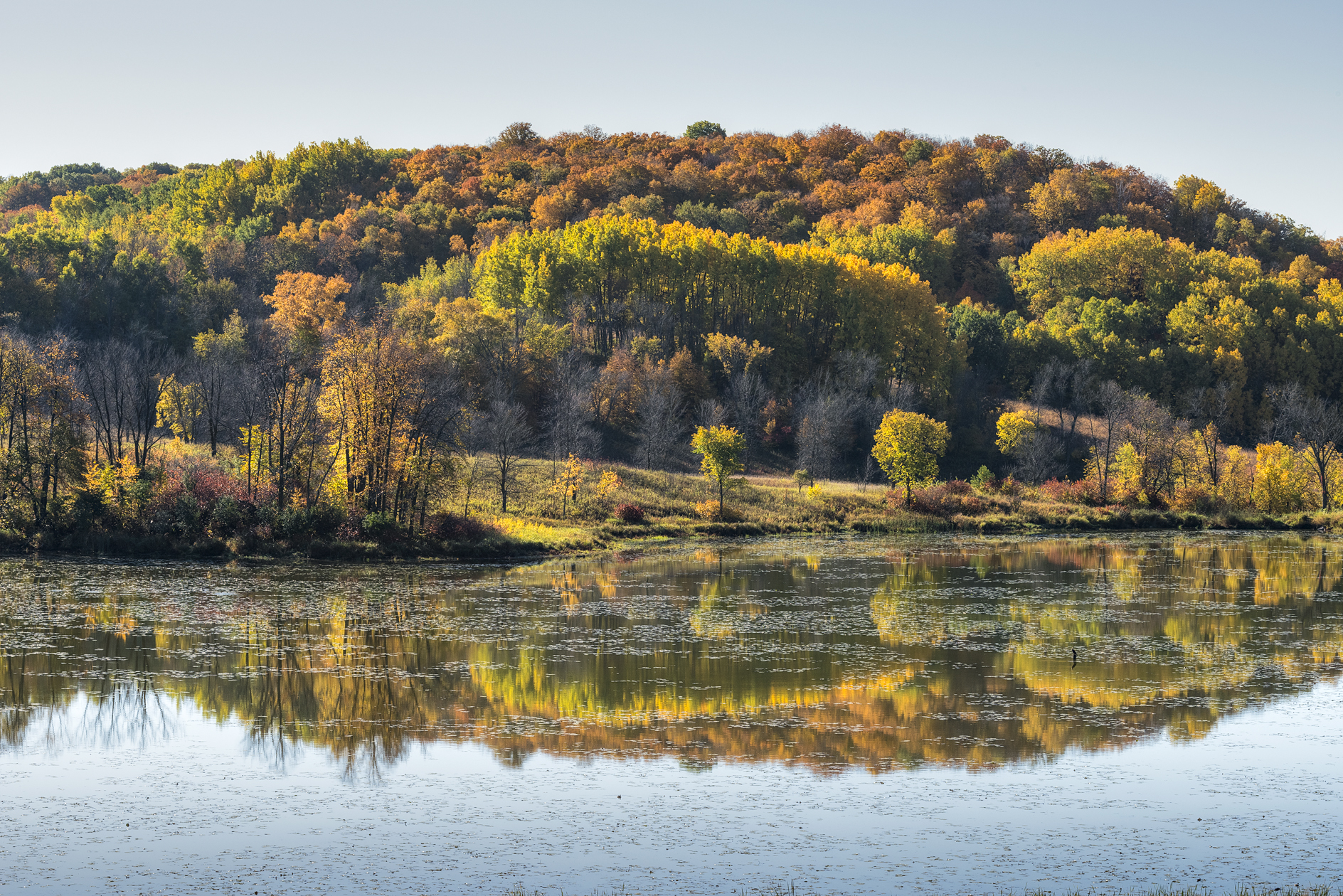 Beaver Lake Morning II
