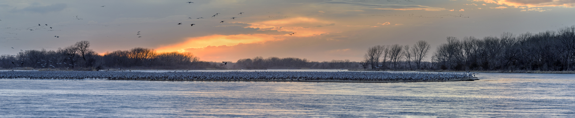 Bellied Up To the Bar II