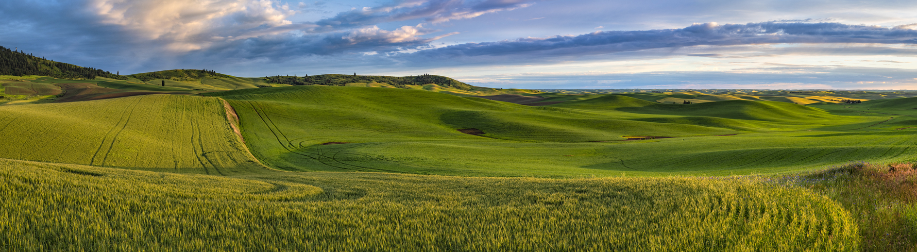 Below Kamiak Butte III