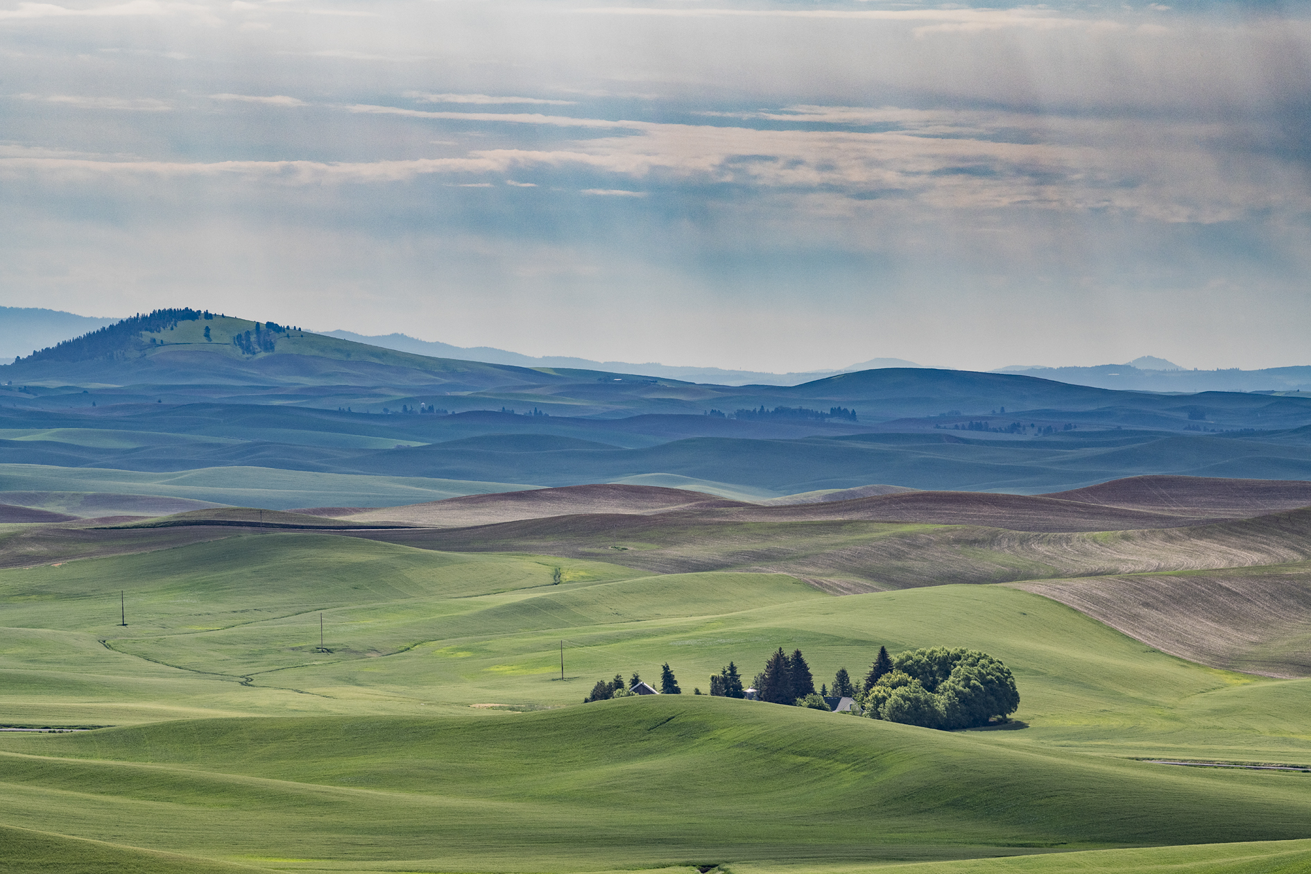 Below Steptoe Butte