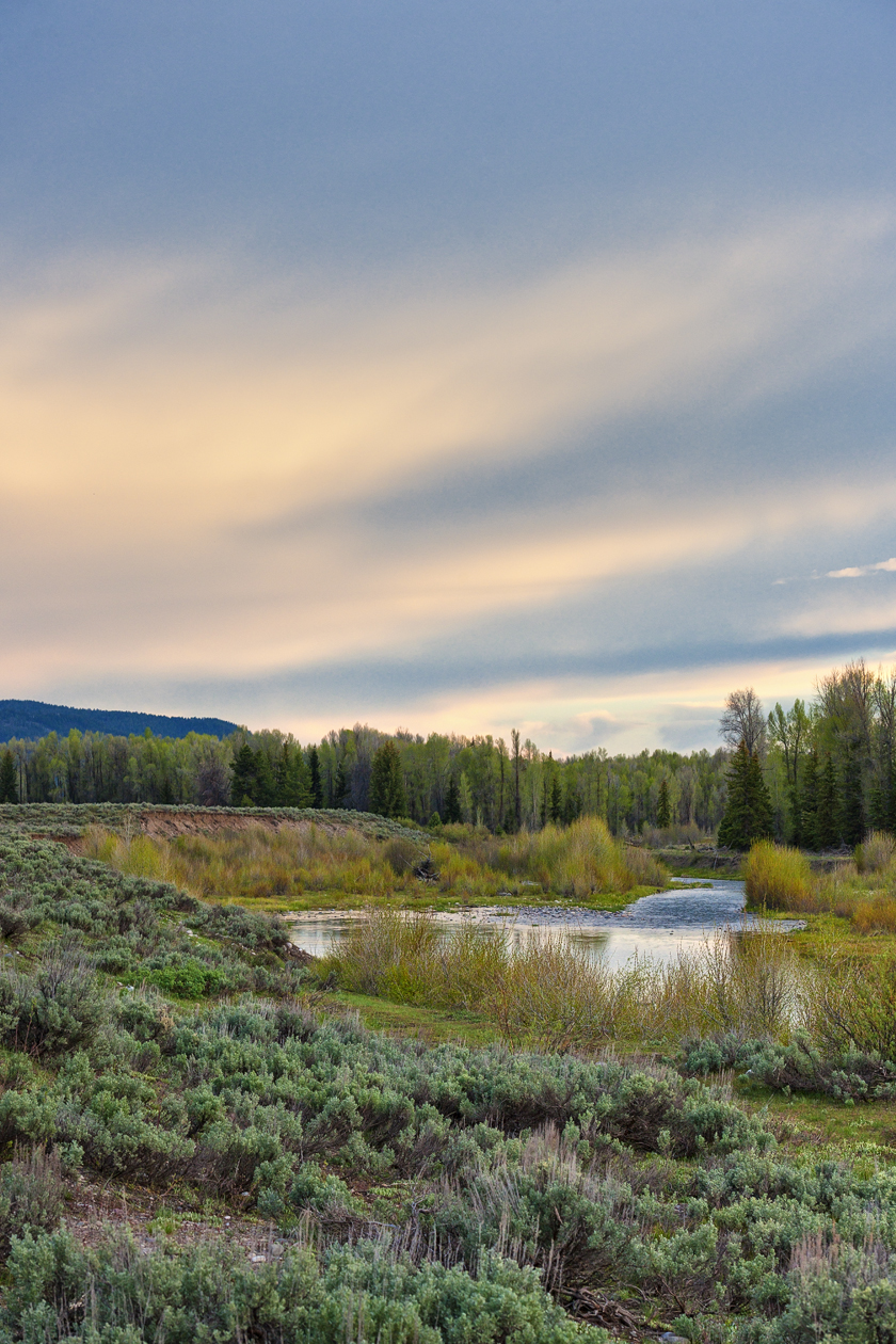 Below the Beaver Pond