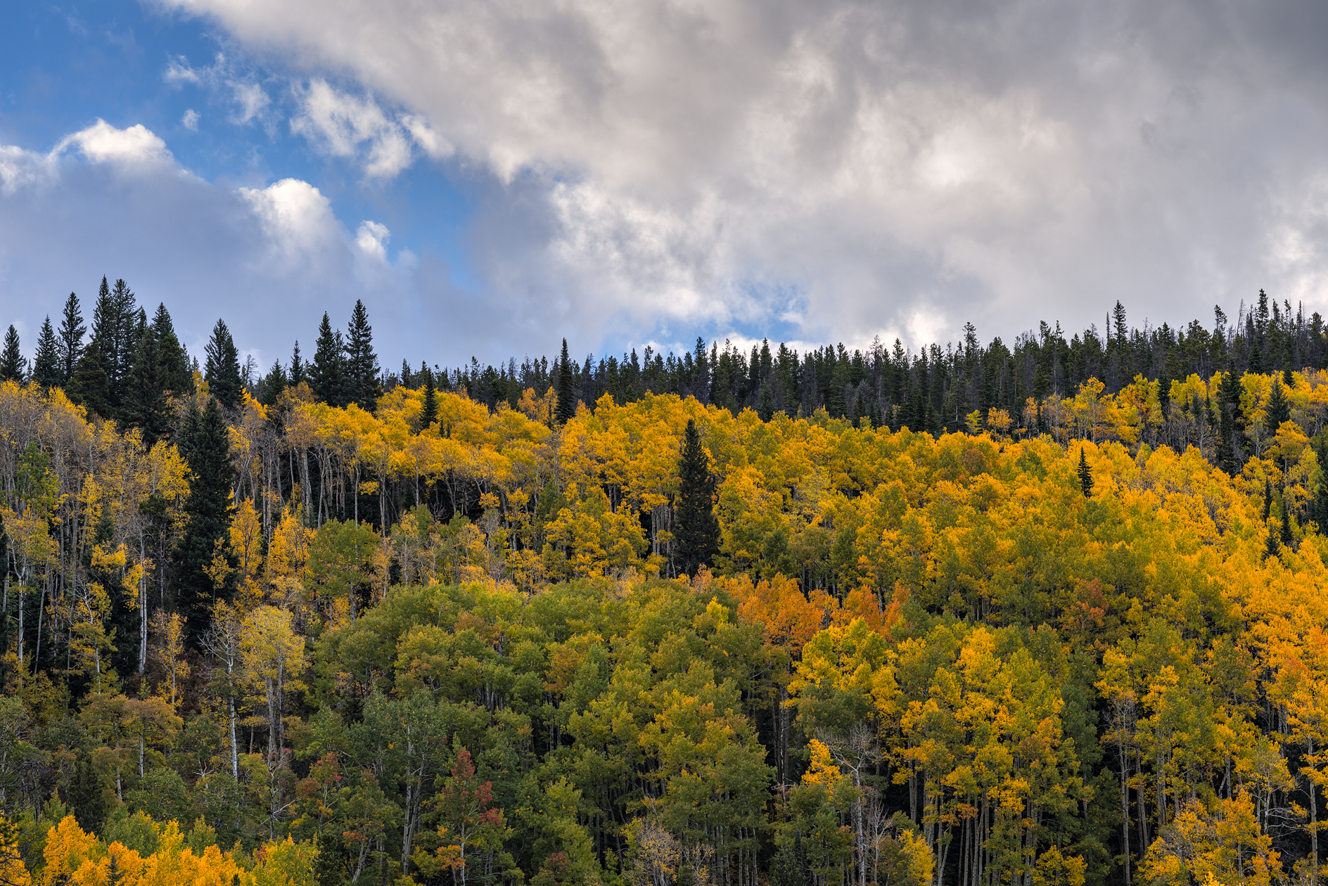 Between Shirt Sleeves and Sweaters