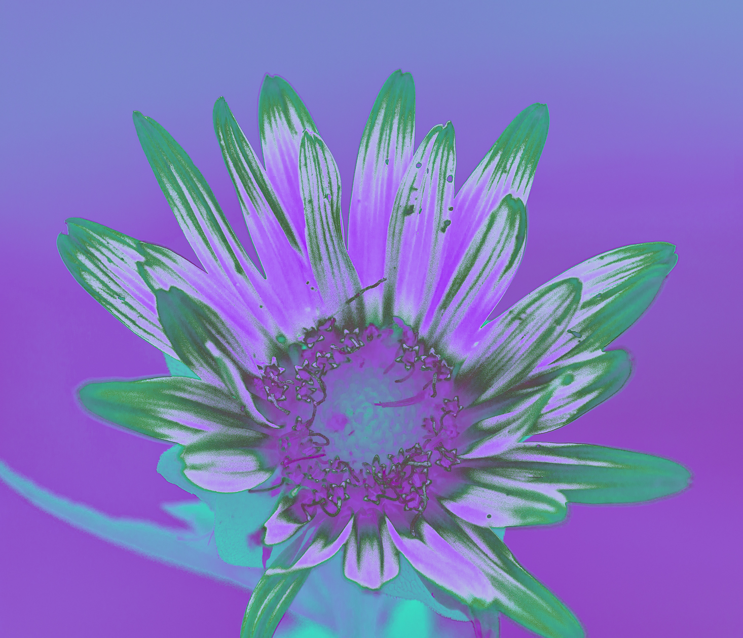 Beyond a Green Thumb