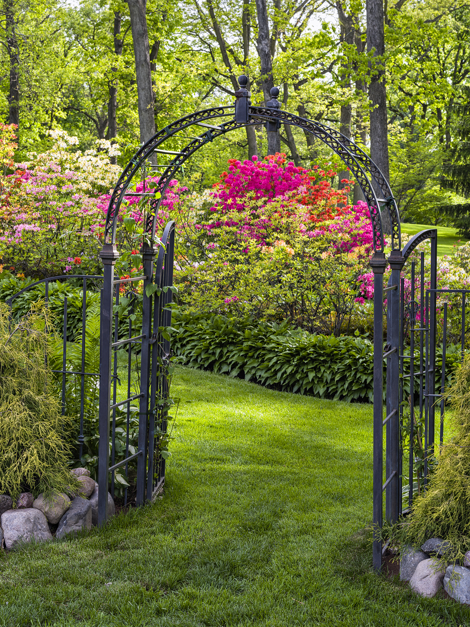 Beyond the Garden Gate