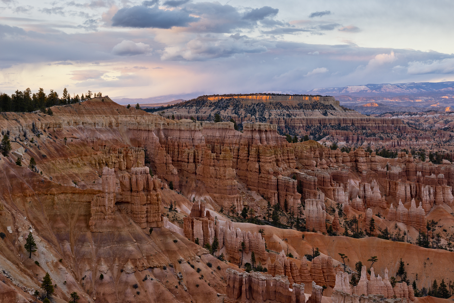 Beyond the Queens Garden