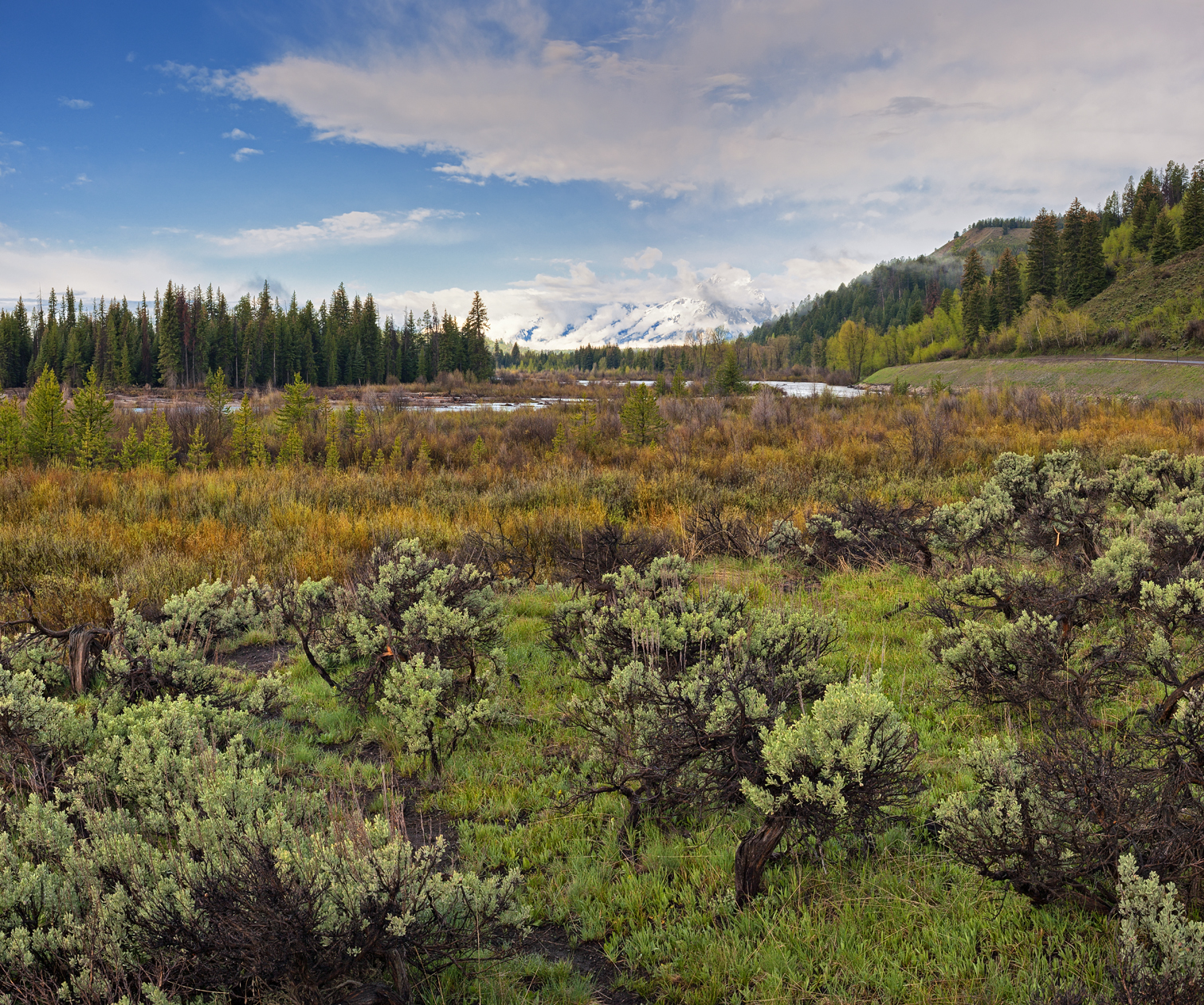 Beyond the Valley Mist