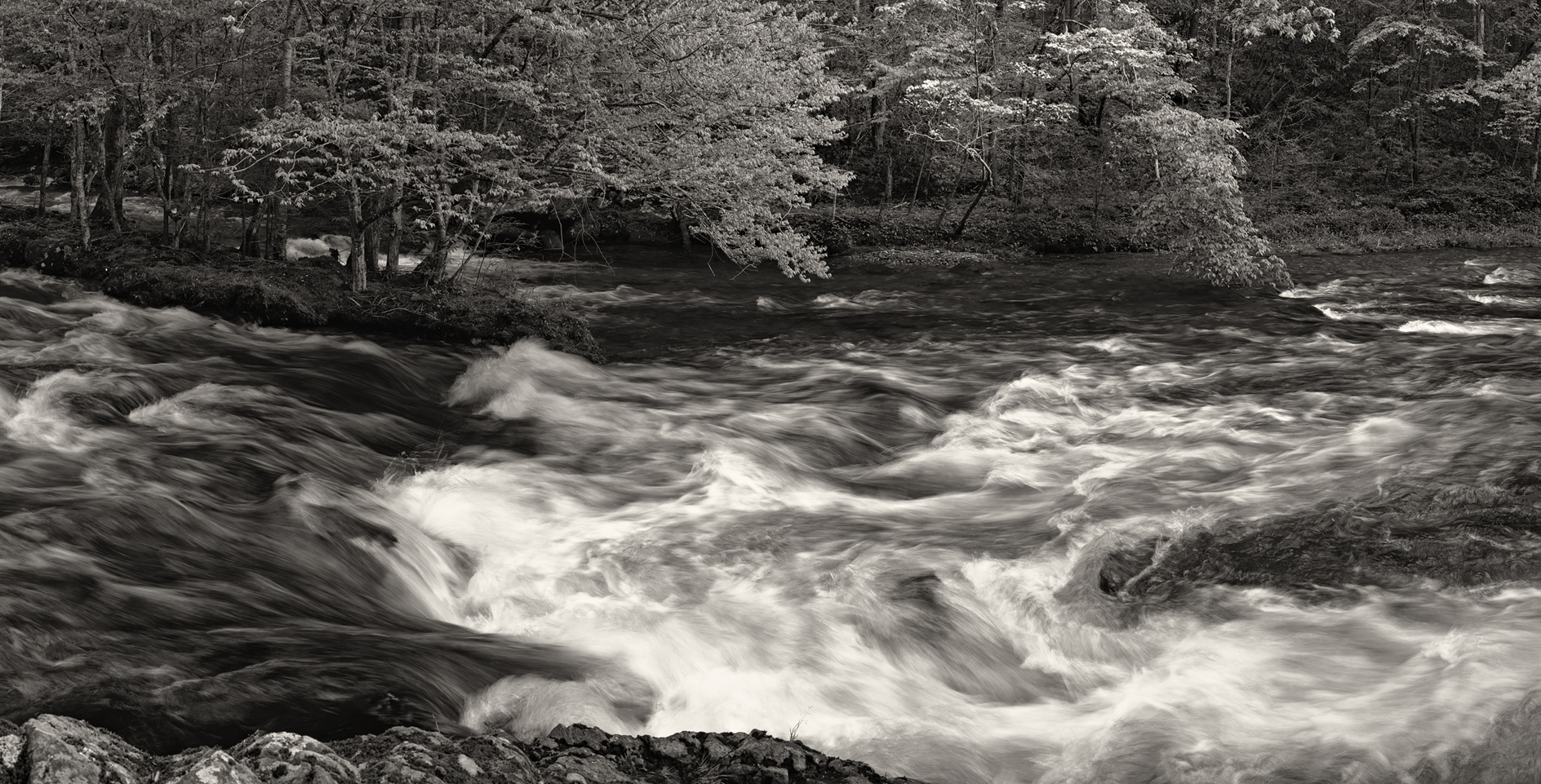 Black and White Water